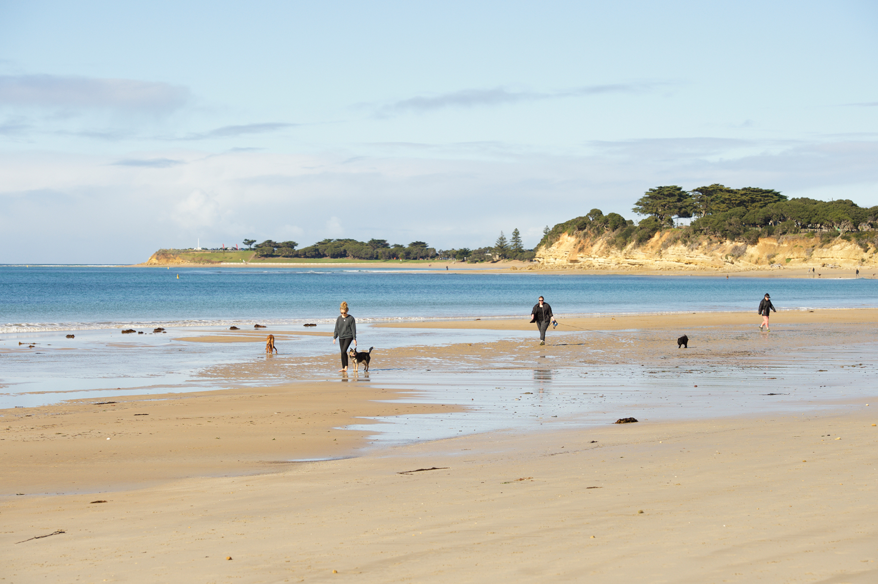 fishermans-beach-great-ocean-road-coast-committee